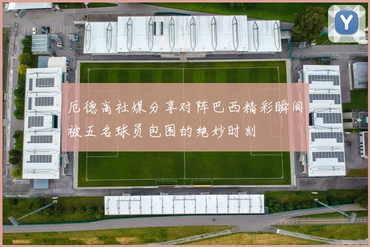 厄德高社媒分享对阵巴西精彩瞬间被五名球员包围的绝妙时刻